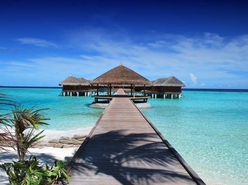 Maldivi Top Travel Agency (2)